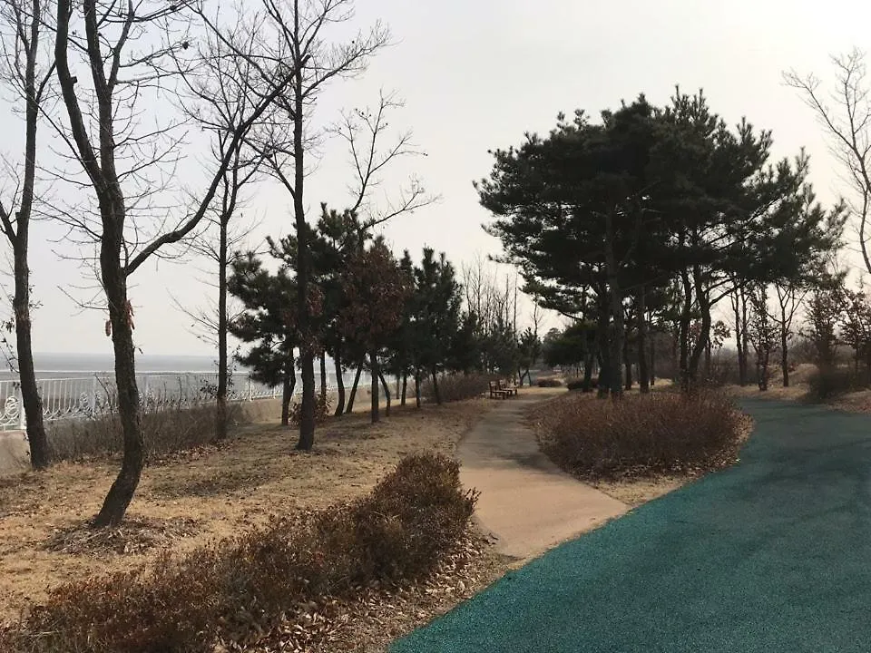 ベッド・アンド・ブレックファスト Hotel Sm Incheon Airport